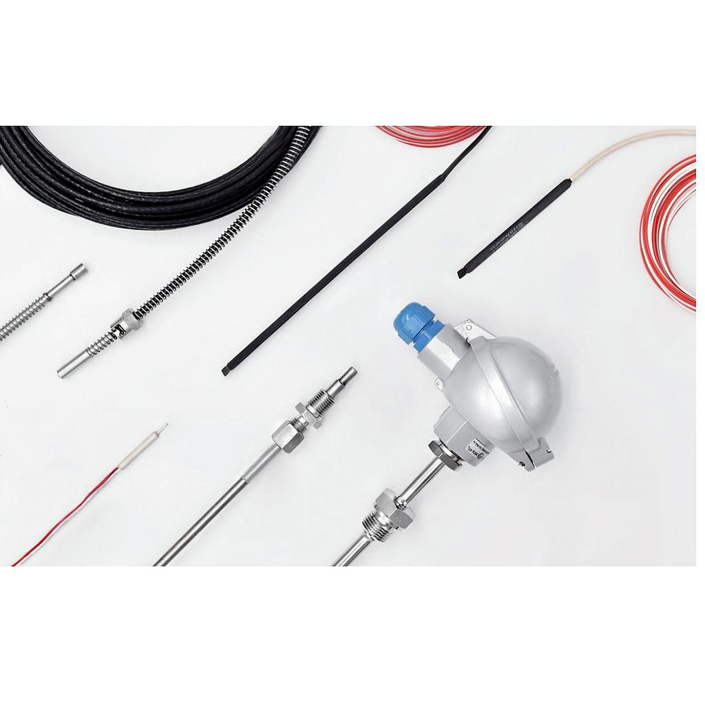 cam-bien-rtd-reckmann-2-x-pt100-4-wire-ø4-5.png