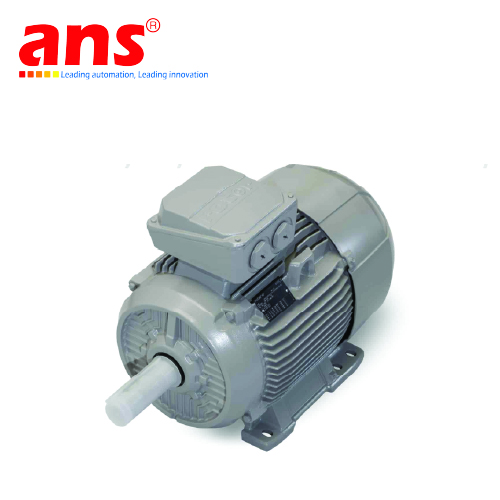 ie3-motor-6rn132s04e30u46r-r153-rotor-nl-vietnam.png
