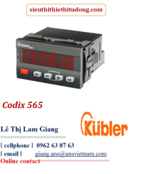 codix-565-6-stellig-mit-totalisator.png