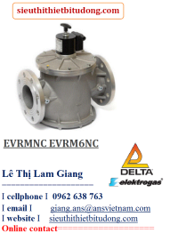 evrmnc-evrm6nc-automatic-safety-valves.png