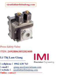 item-2492806305202400-press-safety-valve.png